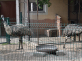 resize_DSC_0294