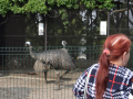 resize_DSC_0301