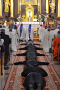 resize_DSC_2704