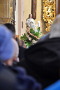 resize_DSC_2711