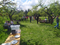 IMG_20260506_152520
