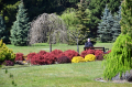 resize_DSC_0077