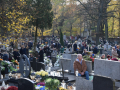 resize_DSC_0054