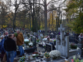 resize_DSC_0113