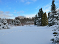 resize_DSC_7422