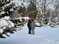 resize_DSC_7425
