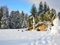 resize_DSC_7432
