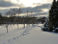 resize_DSC_7434
