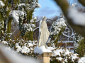 resize_DSC_7442