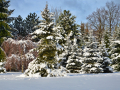 resize_DSC_7445