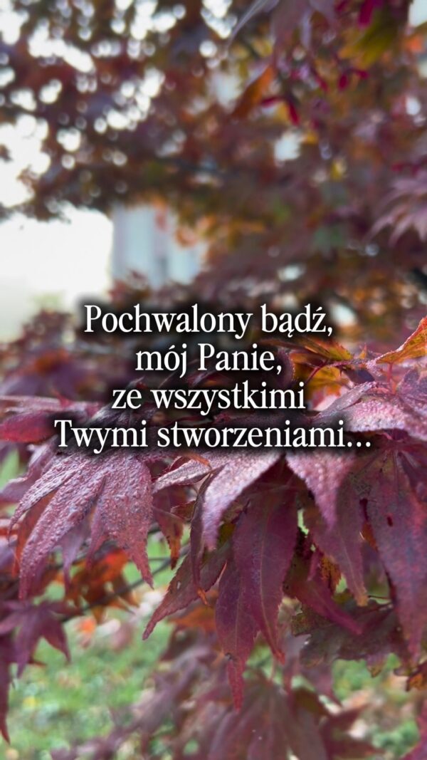 „Najwyższy, wszechmocny i dobry Panie, Twoje są uwielbienie, chwała, cześć i wszelkie błogosławieństwo...” 🌿☀️🍂✨Podziel się…